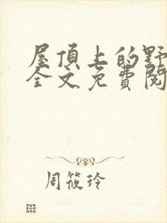 屋顶上的野月亮全文免费阅读无弹窗