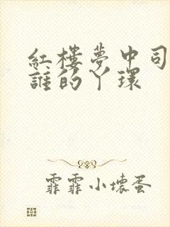 红楼梦中司棋是谁的丫环封面