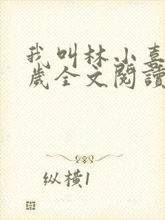 我叫林小喜19岁全文阅读封面