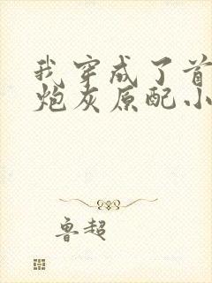 我穿成了首辅的炮灰原配小说