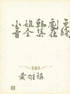 小姐韩剧免费观看全集在线高清