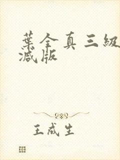 叶全真三级无删减版