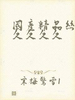 国产精品丝袜久久久久久封面