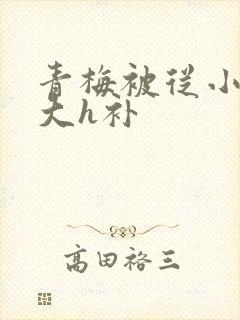 青梅被从小摸到大h补封面