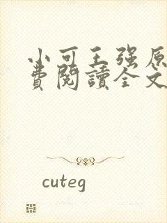 小可王强原文免费阅读全文最新章节