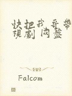 快把我哥带走电视剧 网盘