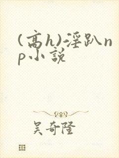 (高h)淫趴np小说