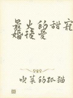 最火的甜宠剧先婚后爱