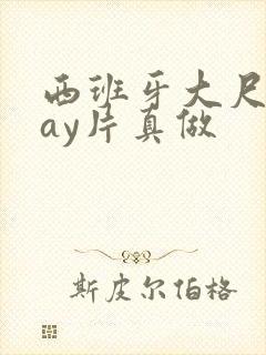 西班牙大尺度gay片真做