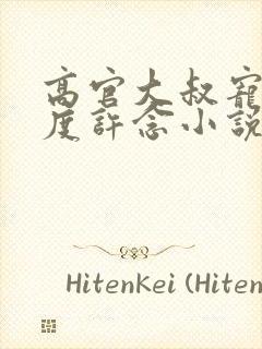 高官大叔宠妻无度许念小说封面