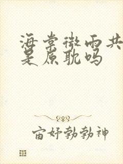 海棠微雨共归途是原耽吗