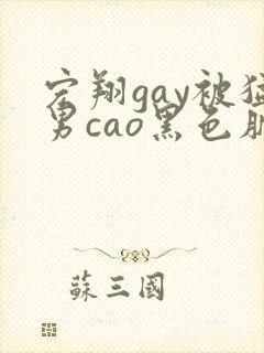 宏翔gay被猛男cao黑色肌肉