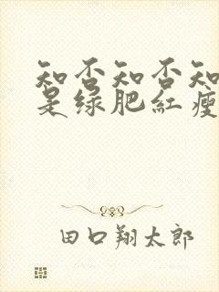 知否知否知否应是绿肥红瘦全集免费观看