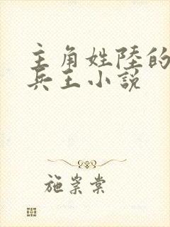 主角姓陆的都市兵王小说
