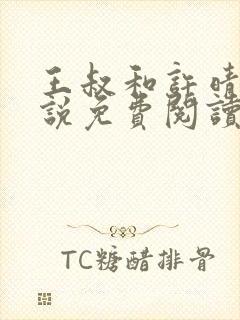 王叔和许晴的小说免费阅读无弹窗