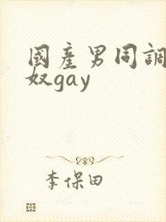国产男同调教男奴gay