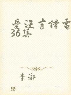 爱没有错电视剧36集