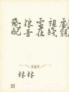 飞狼电视剧国语配音在线观看高清封面