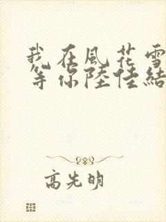 我在风花雪月里等你陆佳结局