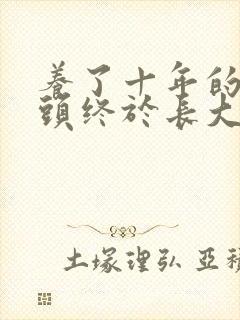 养了十年的小丫头终于长大了