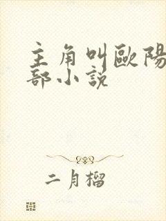 主角叫欧阳的全部小说封面