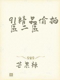91精品偷拍一区二区
