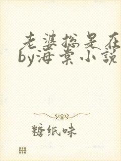 老婆总是在站姐by海棠小说免费阅读