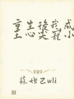 重生后我成了傻王心尖宠小说