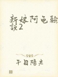 新娘阿龟验婚小说2封面