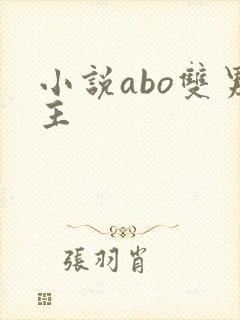 小说abo双男主封面