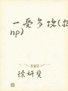 一受多攻(总受np)