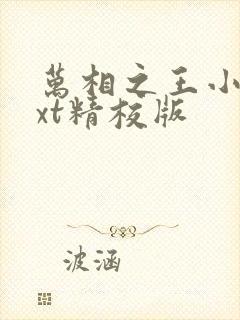 万相之王小说txt精校版封面