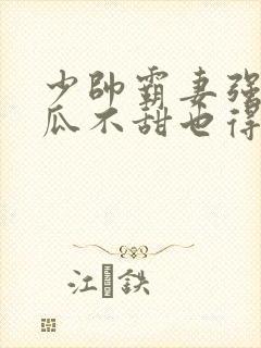 少帅霸妻强扭的瓜不甜也得甜