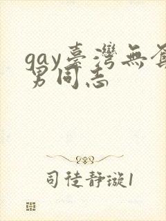 gay台湾无套男同志封面