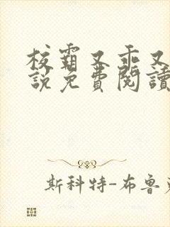 校霸又乖又甜小说免费阅读