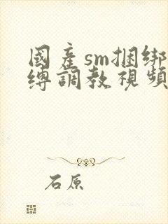 国产sm捆绑束缚调教视频