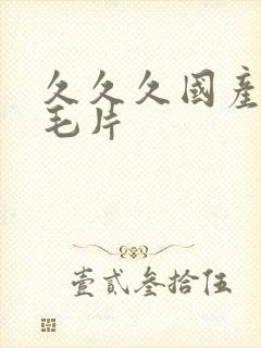 久久久国产精品毛片