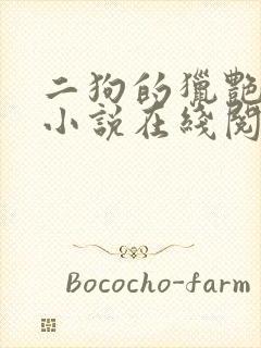 二狗的猎艳人生小说在线阅读