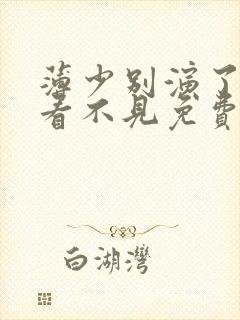 薄少别演了夫人看不见免费短剧封面