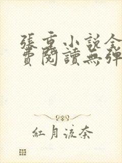 张重小说全文免费阅读无弹窗封面