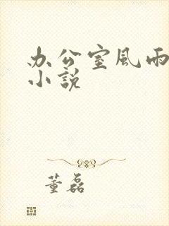 办公室风雨完整小说