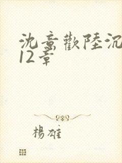 沈意欢陆沉舟第12章