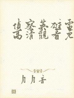 侦察英雄电视剧高清观看免费