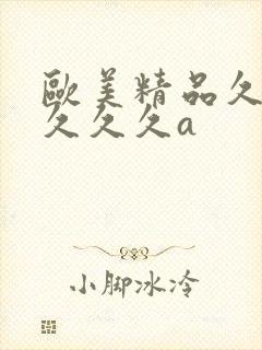 欧美精品久久久久久久a