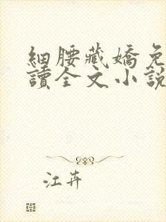 细腰藏娇免费阅读全文小说苏珞浅