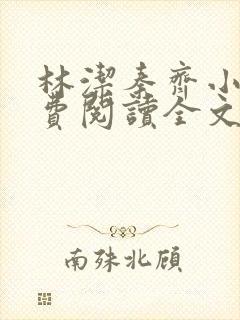 林洁秦齐小说免费阅读全文最新章节