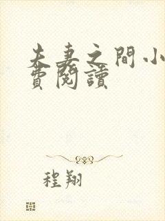 夫妻之间小说免费阅读封面