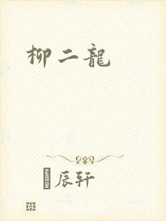 柳二龙封面