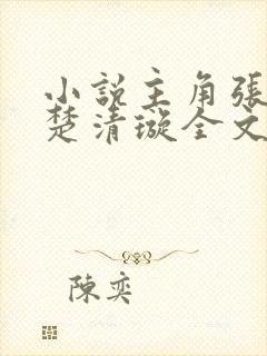 小说主角张小凡楚清璇全文阅读