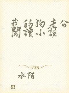 我的狗老公在线阅读小说